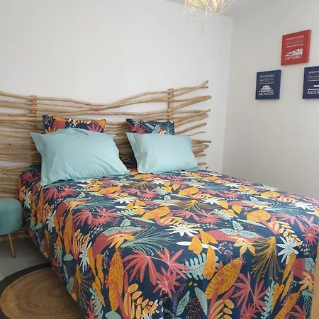 Vakantiehuis Le Faiere Audenge